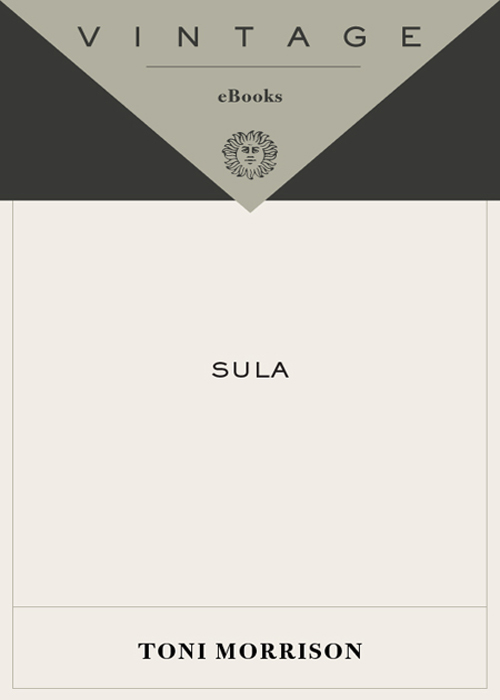 Sula
